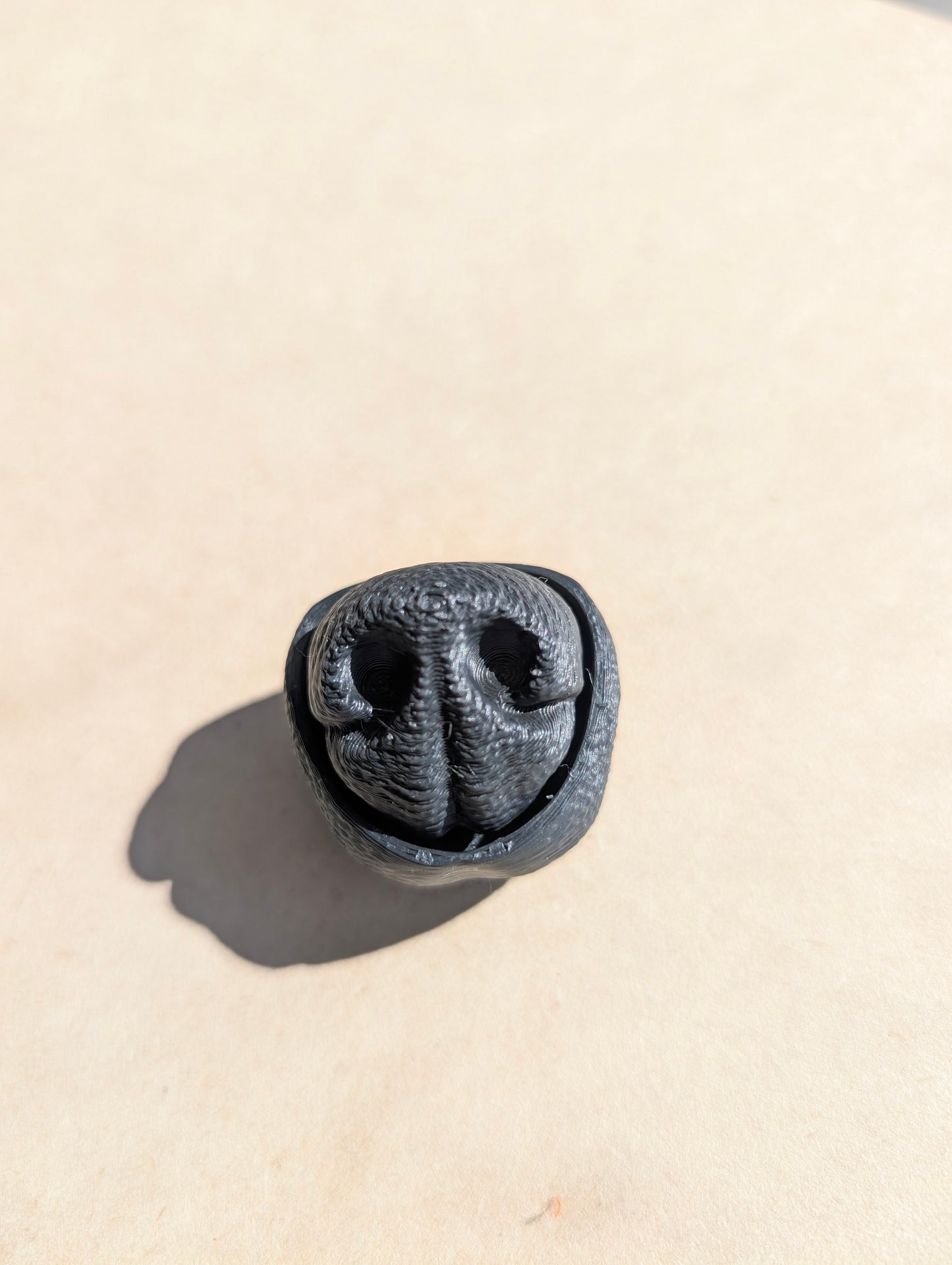 Boop The Snoot. A Dog Nose Clicker Fidget Toy.