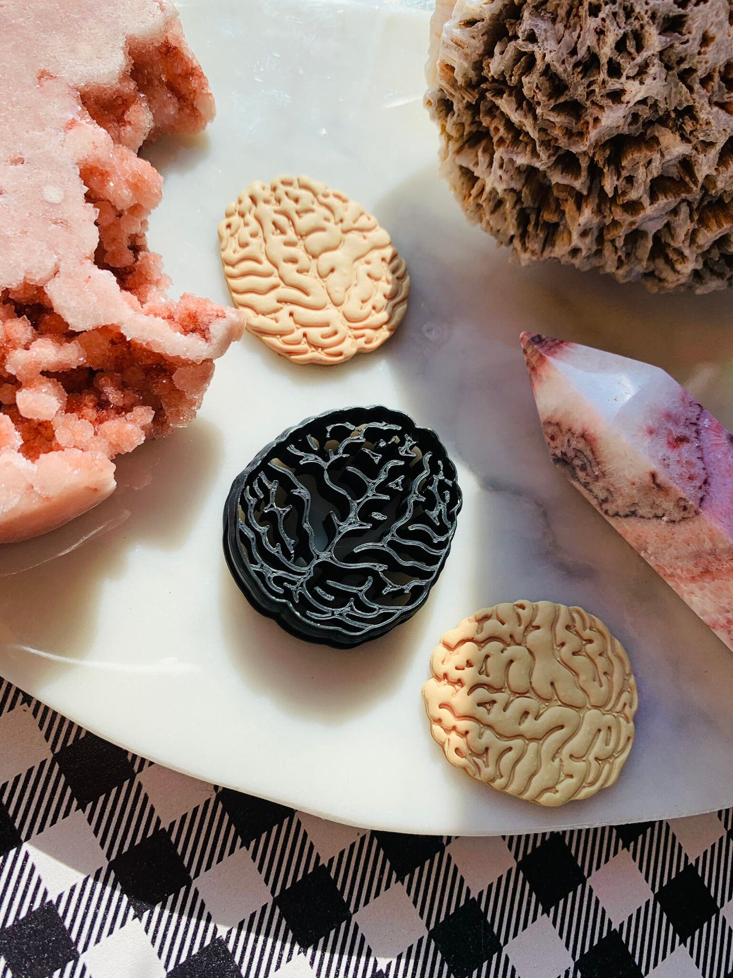 Top View Brain - Embossed Sharp Clay Cutter