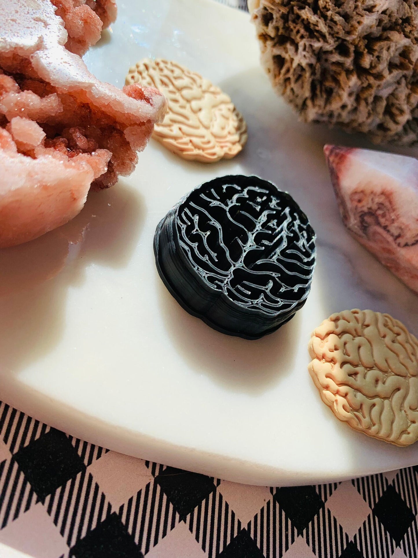 Top View Brain - Embossed Sharp Clay Cutter