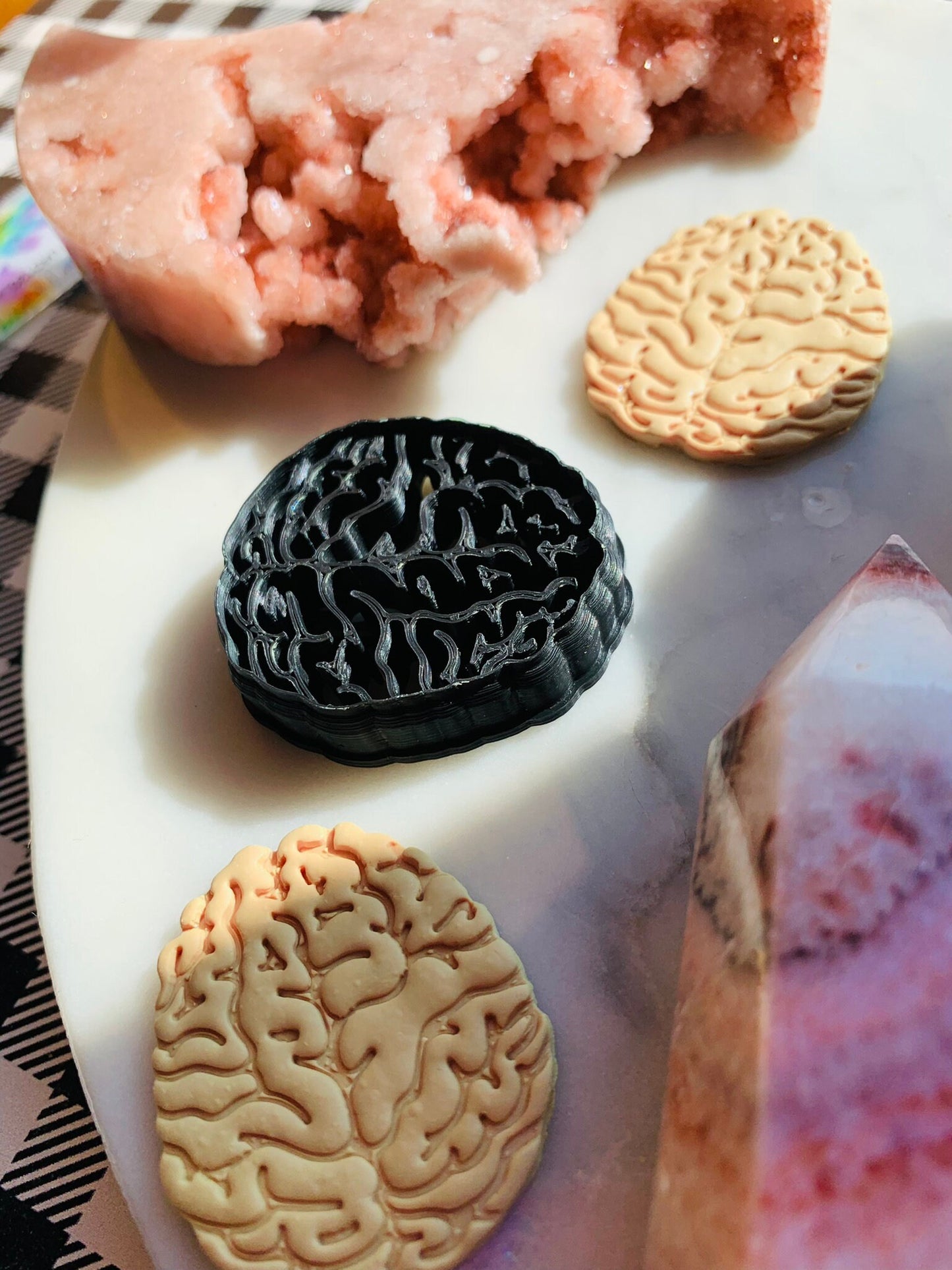 Top View Brain - Embossed Sharp Clay Cutter