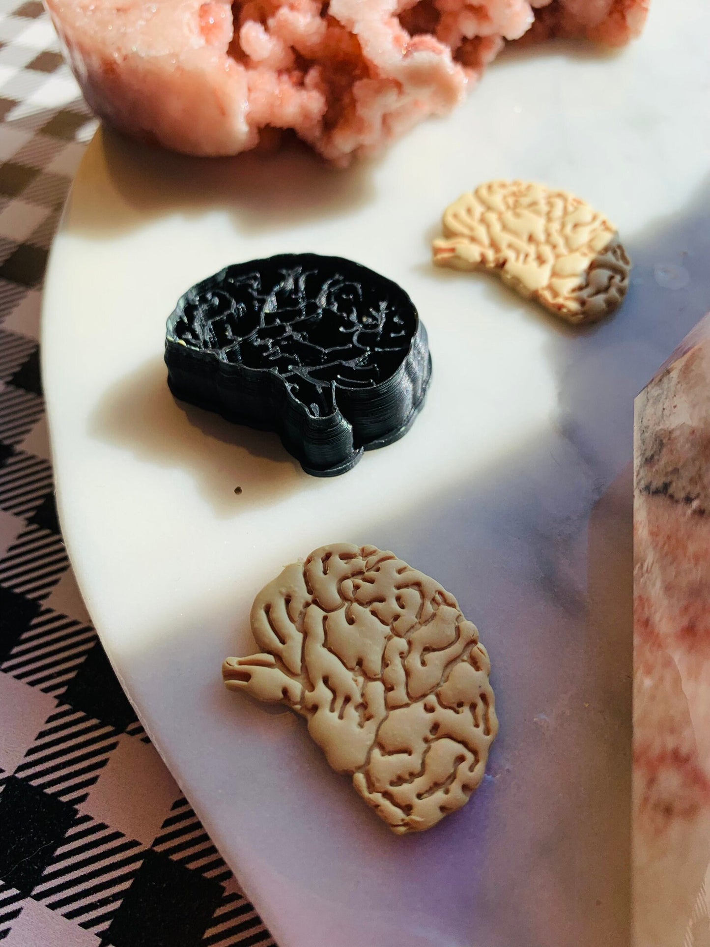 Side View Brain With Stem - Embossed Sharp Clay Cutter