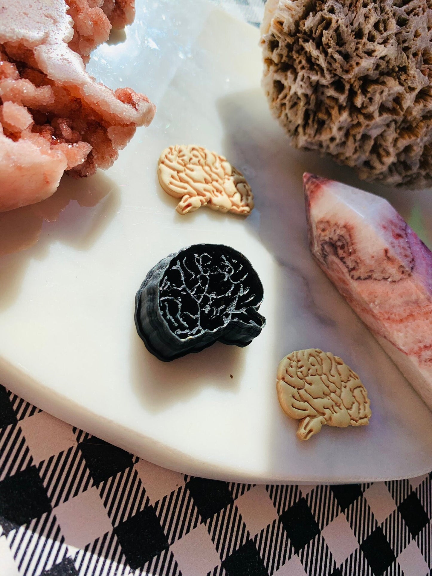 Side View Brain With Stem - Embossed Sharp Clay Cutter