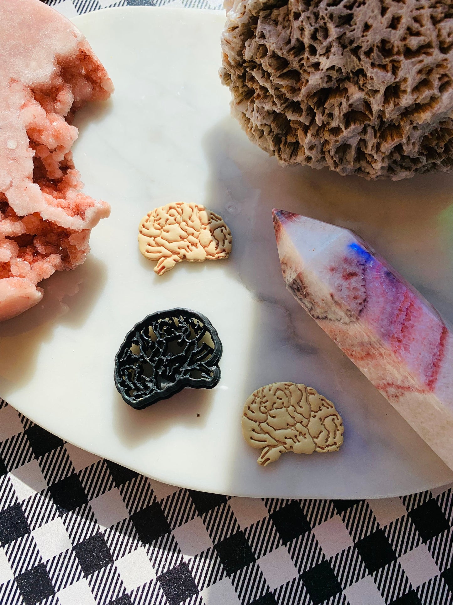 Side View Brain With Stem - Embossed Sharp Clay Cutter