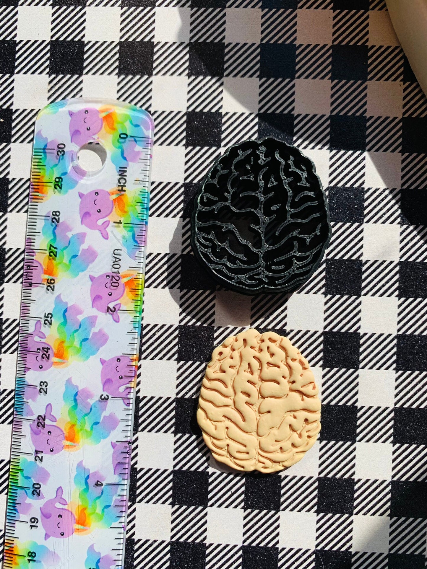 Top View Brain - Embossed Sharp Clay Cutter