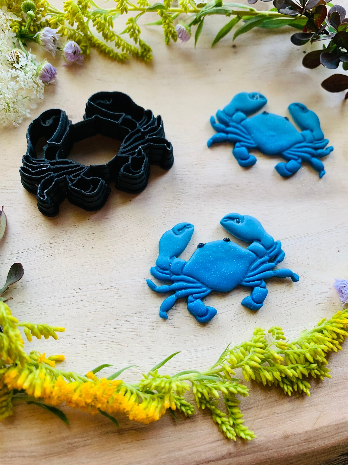 Detailed Large Crab Sharp Clay Cutter