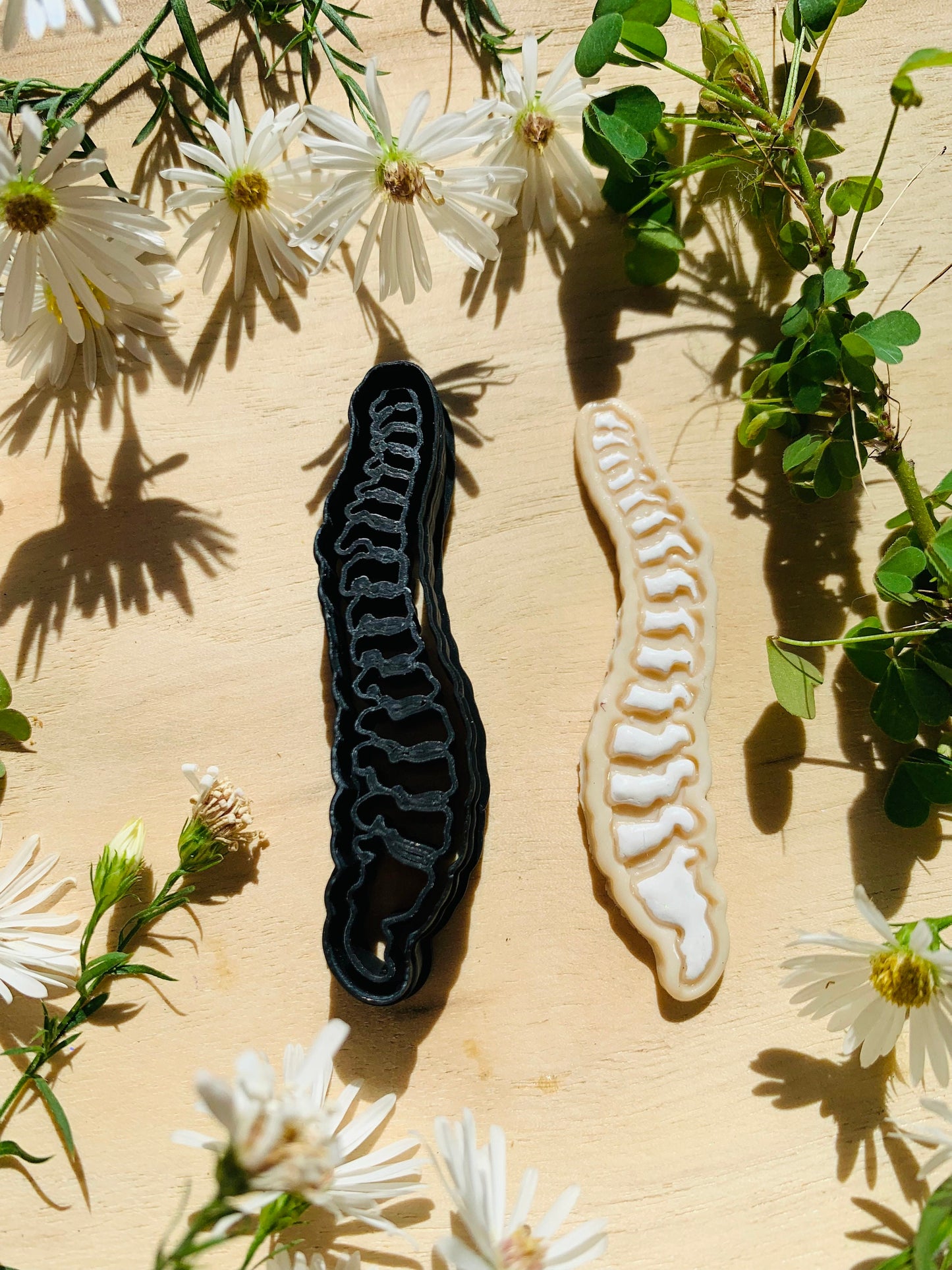 Spine Full Spinal Bones Embossed Sharp Cutter for Clay