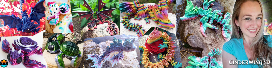 CinderWing3D Available Designs