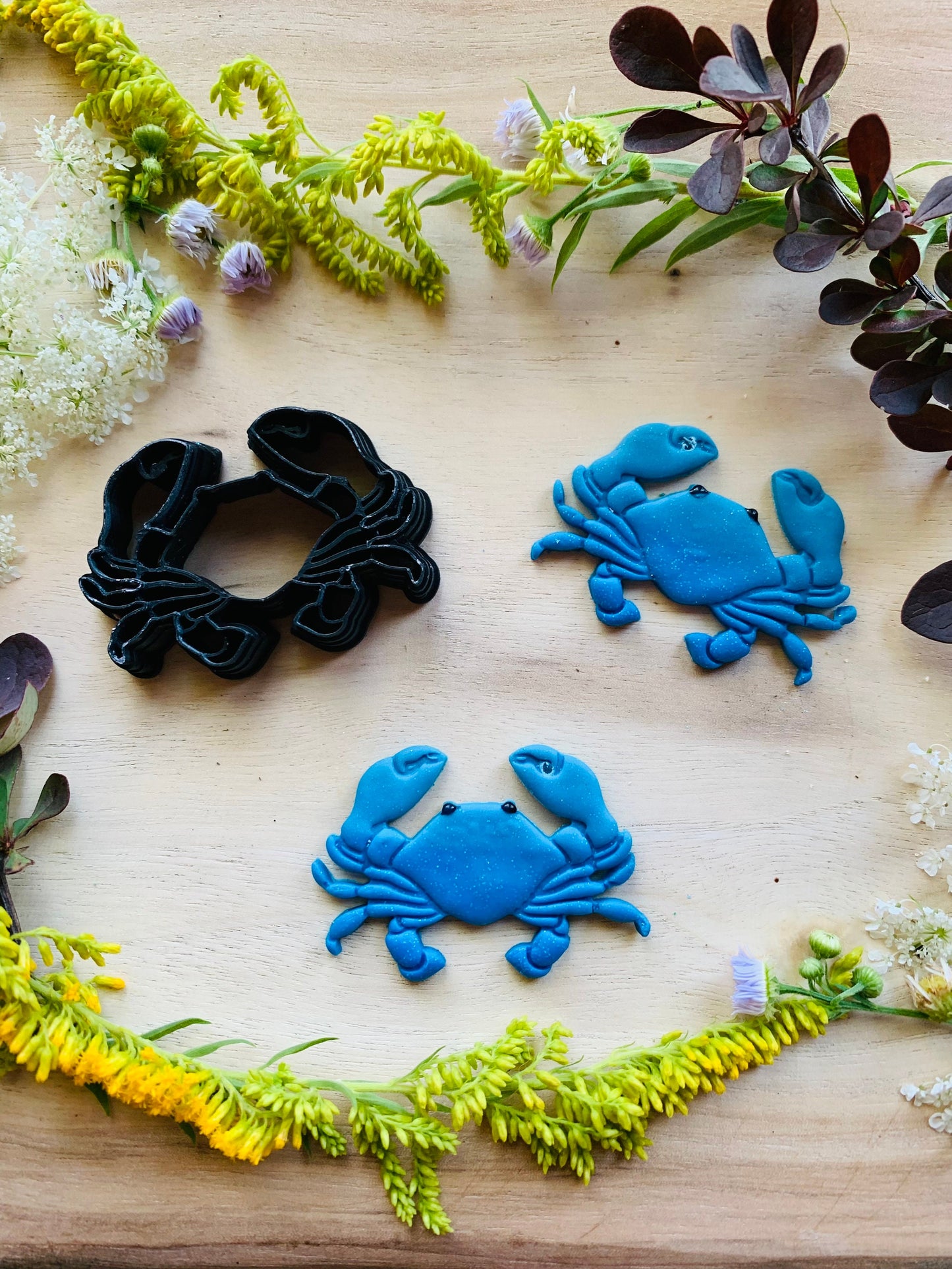 Detailed Large Crab Sharp Clay Cutter