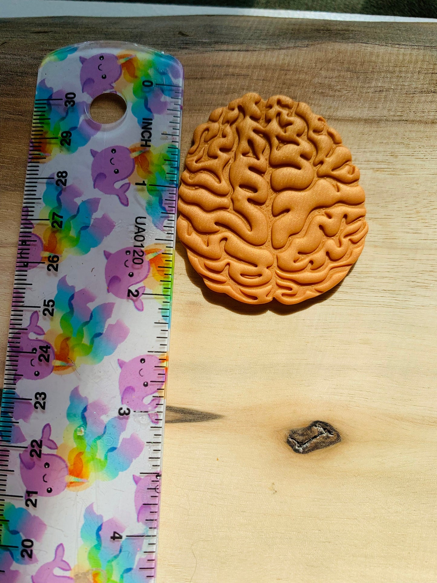 2” Top View Brain - Embossed Sharp Clay Cutter