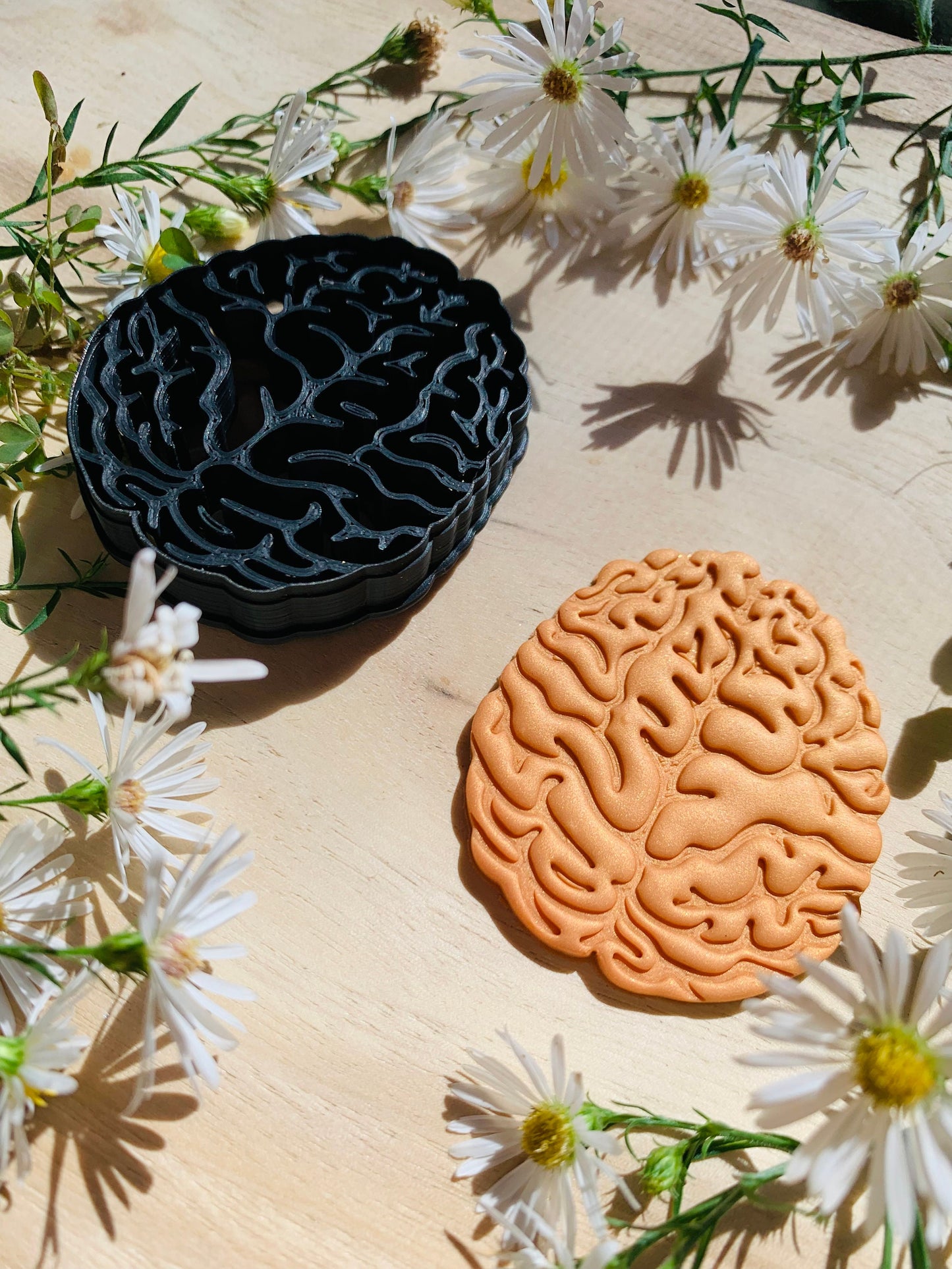 2” Top View Brain - Embossed Sharp Clay Cutter